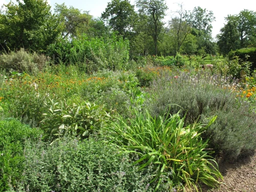 Gîte Champlin, 3 pièces, 5 personnes - photo_1011695340012