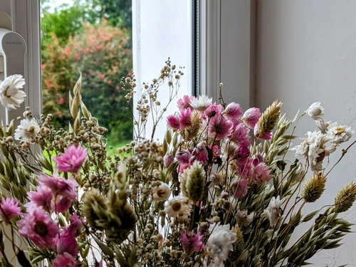 Gîte Vignoles, 3 pièces, 4 personnes - photo_1011695344111