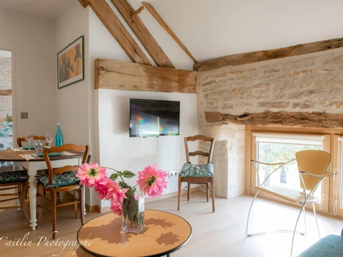 Gîte Chailly-sur-Armançon, 2 pièces, 2 personnes - photo_1011695346686