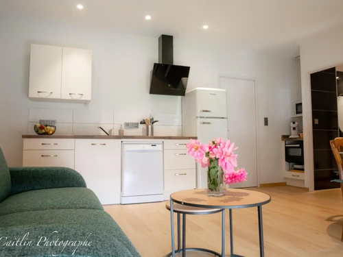 Gîte Chailly-sur-Armançon, 2 pièces, 2 personnes - photo_1011695346686