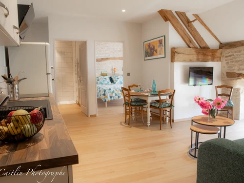 Gîte Chailly-sur-Armançon, 2 pièces, 2 personnes - photo_1011695346686