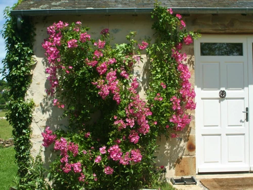 Gîte Moulins-Engilbert, 5 pièces, 8 personnes - photo_1011695353088