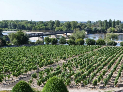 Gîte Pouilly-sur-Loire, 4 pièces, 6 personnes - photo_1011695354878