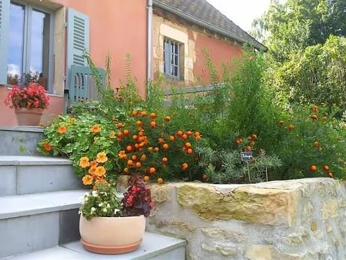 Gasthaus Bona, 2 Schlafzimmer, 5 Personen - photo_1011695359626