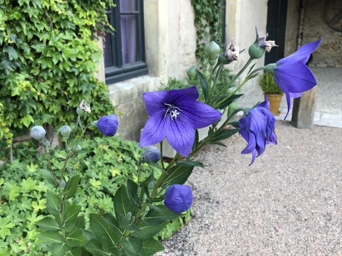 Gîte Moulins-Engilbert, 4 pièces, 6 personnes - photo_1011695362859