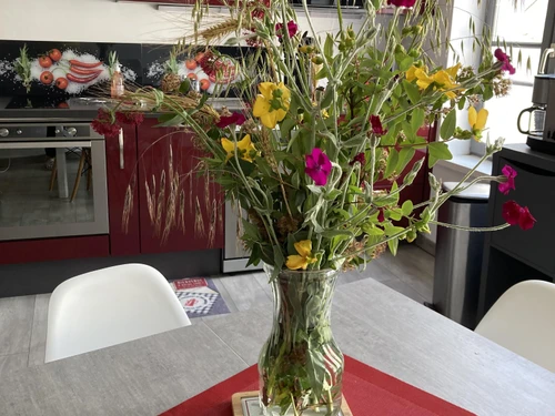 Gite Auxerre, 1 bedroom, 2 persons - photo_1011695371233