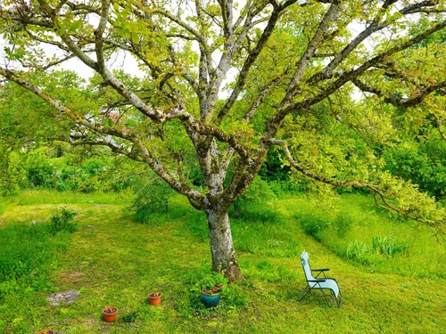 Gîte Sougères-en-Puisaye, 2 pièces, 3 personnes - photo_1011695382165