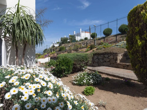 Appartement Roses, 2 pièces, 4 personnes - photo_18949197251