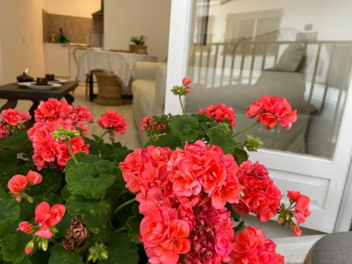 Appartement Llafranc, 4 pièces, 5 personnes - photo_1011456864290