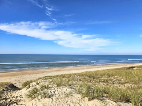 Villa Lège-Cap-Ferret, 6 pièces, 8 personnes - photo_19386124268