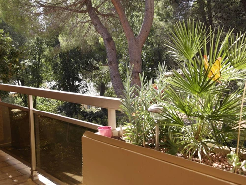 Apartment Bormes-les-Mimosas, 1 bedroom, 4 persons - photo_1011701749480