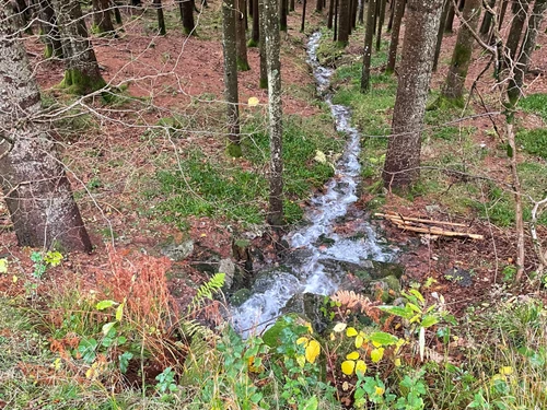 Guestroom Ventron, studio flat, 4 persons - photo_1011663139342