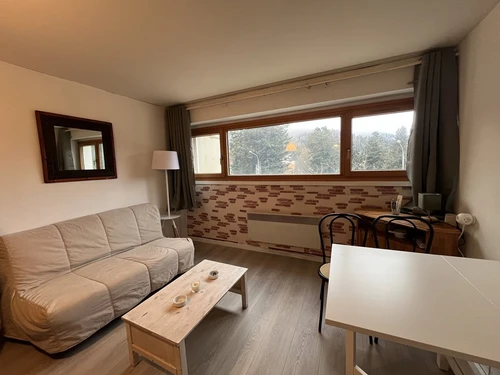 Studio Le Lioran, 1 pièce, 3 personnes - photo_1011703019866