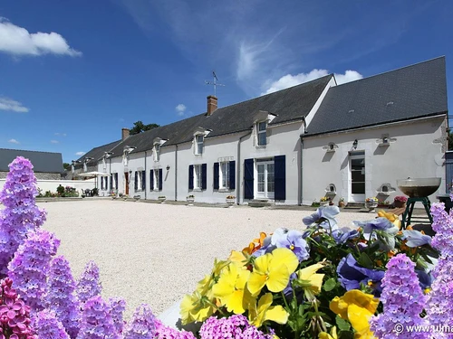 Guestroom Cravant, studio flat, 3 persons - photo_1011663109882