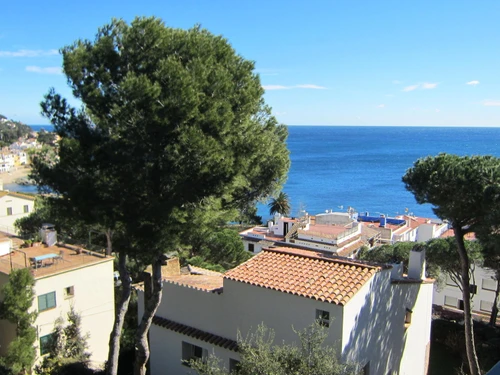 Apartamento Calella de Palafrugell, 2 dormitorios, 4 personas - photo_18949328498