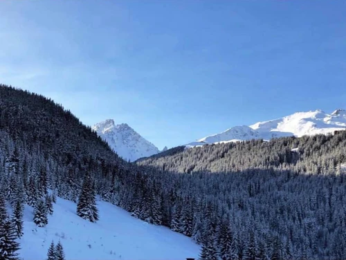 Apartment Courchevel 1650 , 3 bedrooms, 8 persons - photo_14777270402