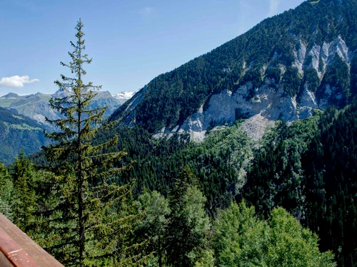 Apartment Courchevel 1650 , 2 bedrooms, 6 persons - photo_14337533767