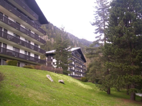 Studio Chamonix-Mont-Blanc, studio flat, 3 persons - photo_14342816367