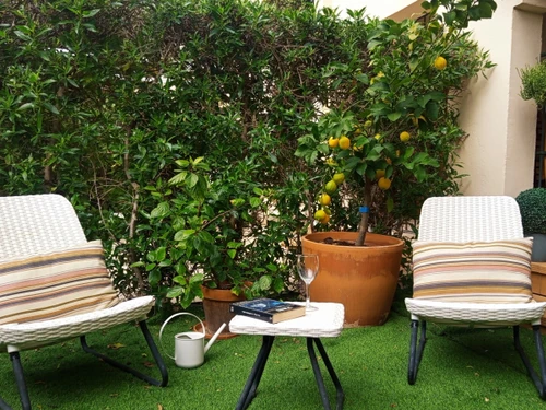 Ferienwohnung Xàbia, 1 Schlafzimmer, 3 Personen - photo_1011594445184