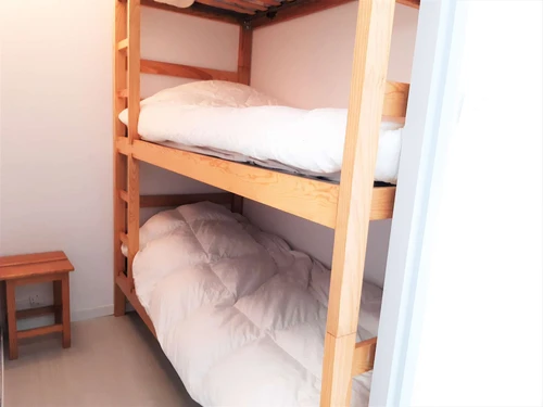 Studio Saint-Lary-Soulan, studio flat, 4 persons - photo_1011686266531