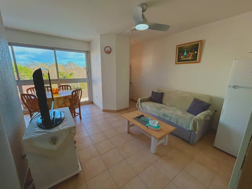 Appartement Argelès-sur-Mer, 2 pièces, 4 personnes - photo_1011585342688