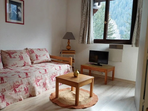 Apartment Chamonix-Mont-Blanc, 1 bedroom, 4 persons - photo_14342815455