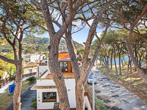 Apartment Llafranc, 1 bedroom, 4 persons - photo_18949640189