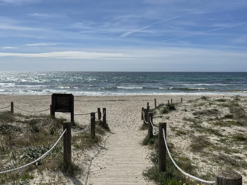 Appartement Son Bou, 3 pièces, 4 personnes - photo_1011715559071