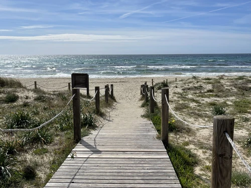 Appartement Son Bou, 3 pièces, 4 personnes - photo_1011715561872