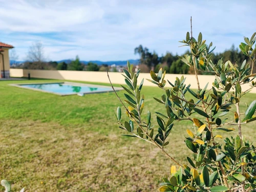 Gîte Valença, 6 pièces, 10 personnes - photo_1011715887258