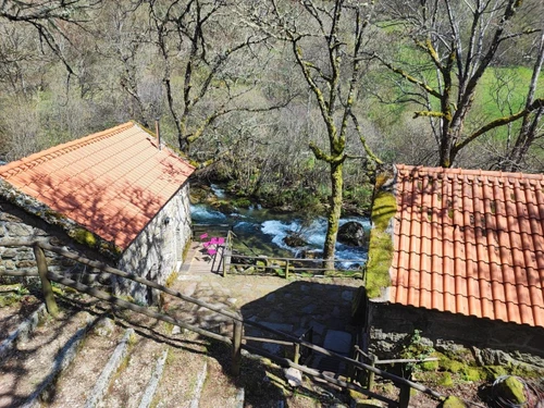 Gîte Castro Laboreiro, 3 pièces, 8 personnes - photo_1011715888524