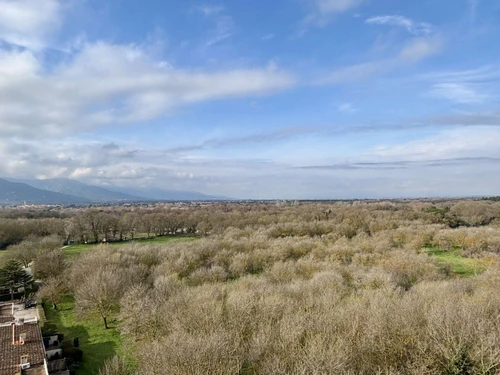 Appartement Argelès-sur-Mer, 2 pièces, 6 personnes - photo_10938948086