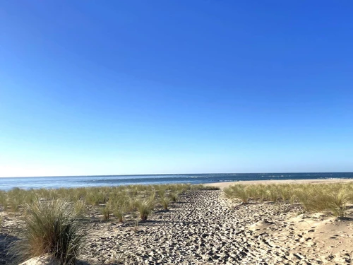 Apartamento Lège-Cap-Ferret, 2 dormitorios, 4 personas - photo_1011483640160