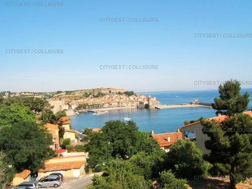 Appartement Collioure, 2 pièces, 4 personnes - photo_14545382665