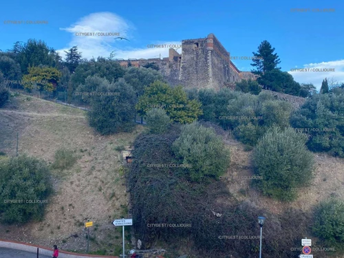 Appartement Collioure, 2 pièces, 4 personnes - photo_15246772941