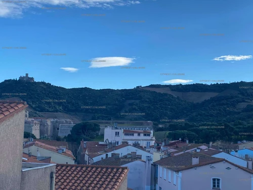 Appartement Collioure, 2 pièces, 4 personnes - photo_15246772696