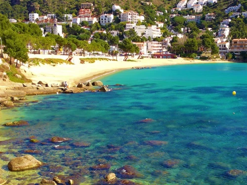 Appartement Roses, 2 pièces, 4 personnes - photo_1011719776196