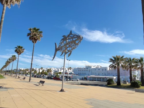 Apartment Conil de la Frontera, 2 bedrooms, 4 persons - photo_1011719804054