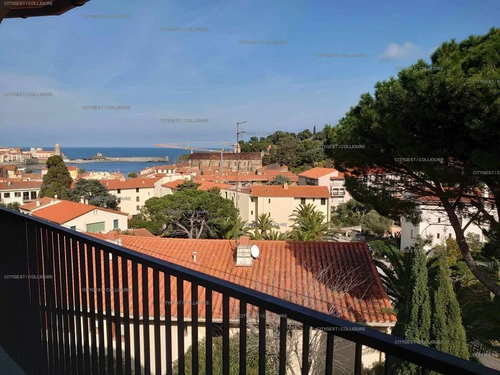 Apartment Collioure, 1 bedroom, 4 persons - photo_16808982809