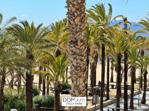 Apartment Salou, 1 bedroom, 4 persons - photo_1011579520172