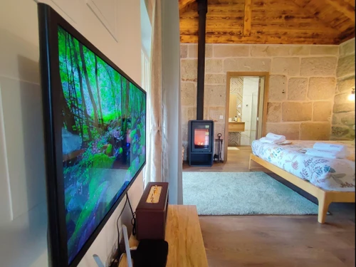 Gîte Marco de Canaveses, 2 pièces, 2 personnes - photo_1011715893514