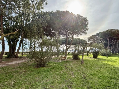 Appartement Argelès-sur-Mer, 1 pièce, 4 personnes - photo_13464319630