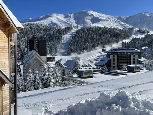 Studio Le Lioran, studio flat, 4 persons - photo_1011735074583