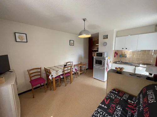 Studio Le Lioran, studio flat, 4 persons - photo_1011735074583