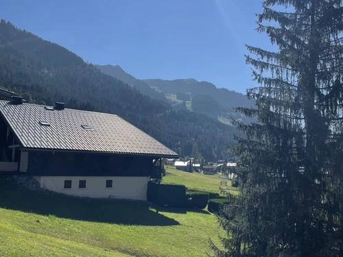 Studio Châtel, 1 pièce, 4 personnes - photo_1011736995675