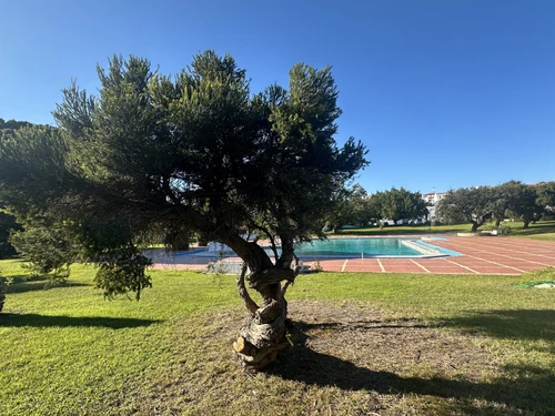 Gite Albufeira, 5 bedrooms, 12 persons - photo_1011698698193