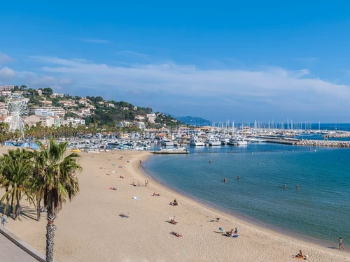 Studio Le Lavandou, 1 pièce, 4 personnes - photo_1011719510509