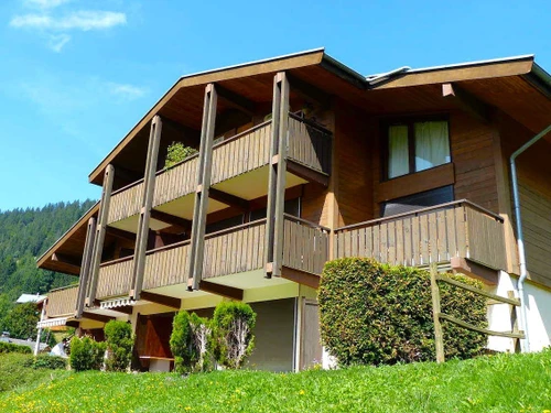 Apartment La Clusaz, 1 bedroom, 4 persons - photo_20083045656