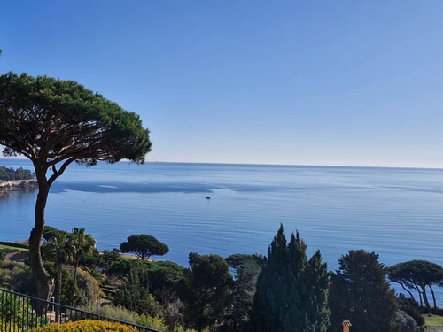 Appartement Sainte-Maxime, 3 pièces, 6 personnes - photo_1011741419107