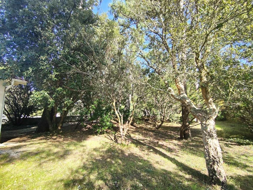 Villa Lège-Cap-Ferret, 5 pièces, 6 personnes - photo_1011742383766